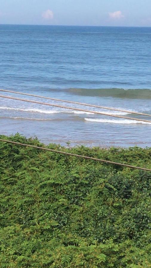 Pousada Sombra Das Ondas Palmeira  Eksteriør billede